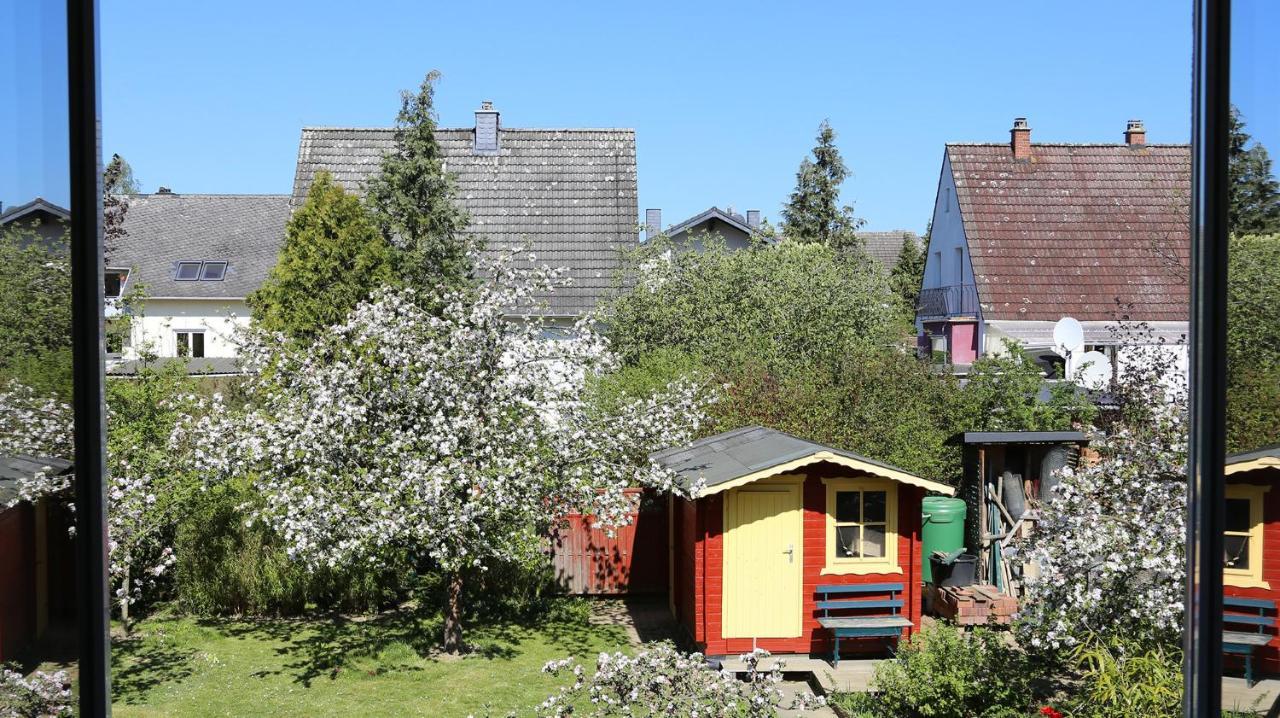 Am Stadtgarten زيمرن المظهر الخارجي الصورة